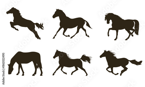 Different horse positions and movements., Basic RGB