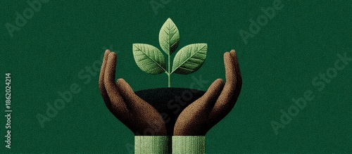 Hands cradling a growing plant against a green backdrop