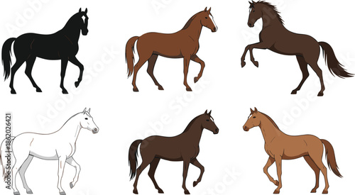 Set of six horse vector illustrations featuring black, brown, and white stallions in walking and rearing poses isolated on white background.
