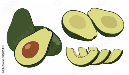 Fresh whole half and sliced avocado vector illustration set for healthy food concept
