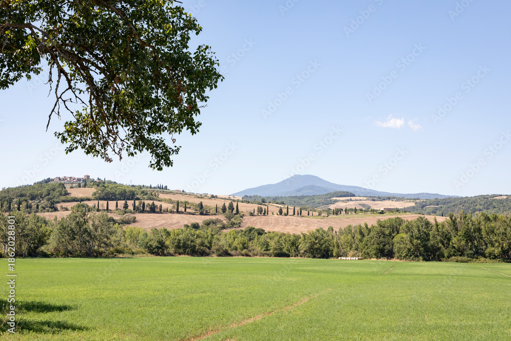 Fototapeta premium Tuscan rural landscape with a view to Contignano, comune of Radicofani, province of Siena, Tuscany, Italy