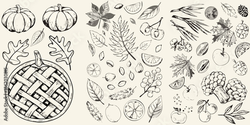 Vintage autumn illustration featuring pumpkins leaves fruits and a woven pie basket