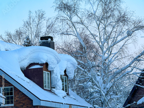CLOSE UP: A thick blanket of icy snow covers the roof of a suburban red brick house on a cold winter day in Niseko, Japan. Snow-laden roof arcs over windows, with birch trees fully covered in snow. © helivideo