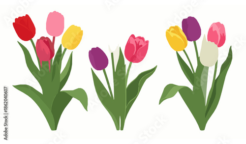 Colorful tulips flowers vector set isolated on white background spring holiday concept