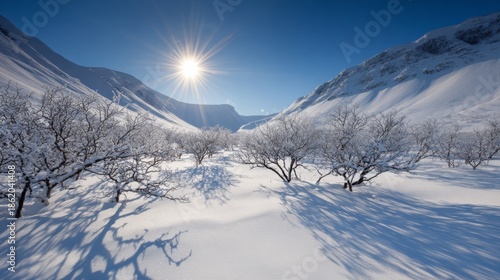 Arctic winter landscape with snow covered trees and hills under clear blue sky, bright sun casting long shadows on white ground, ice crystals on branches creating a serene and magical scene.