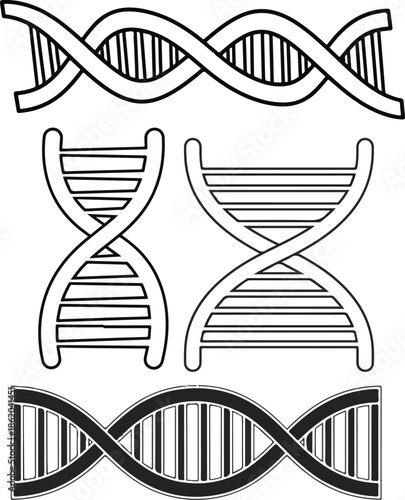 Illustration of a double helix