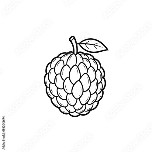 Sitafal (Atta) Line Icon, Custard Apple Outline Fruit Vector Adobe Illustrator Artwork