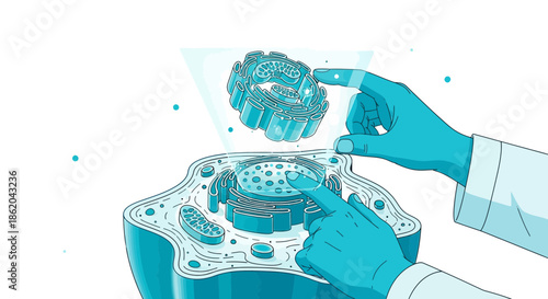 Interactive Cell Biology: Advanced Medical Visualization and Modern Scientific Research Display