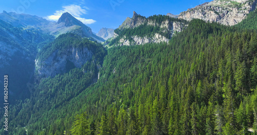 AERIAL: Alpine ridge with dramatic rock formations towering above layers of dense pine forest. Steep and green mountain slopes create a contrast against the gray jagged stone under a clear summer sky.