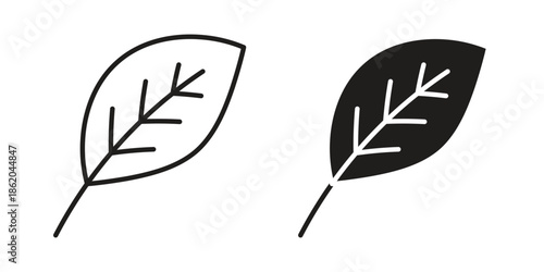 Leaf icons vector. Line and glyph design with editable stroke