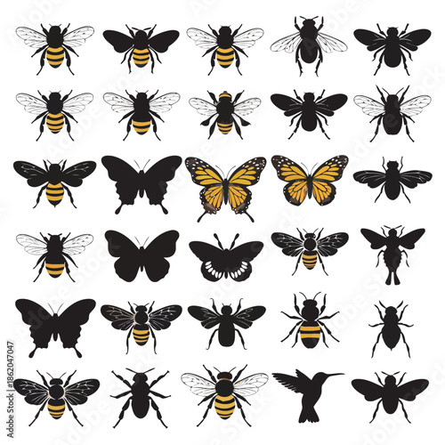 Collection of bee and butterfly silhouettes on white background vector