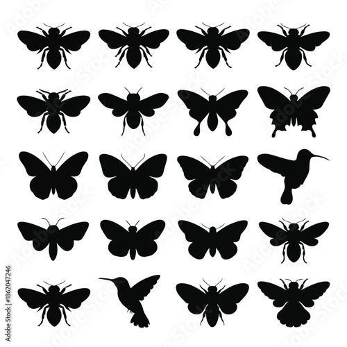 Collection of black insect and bird silhouettes on white background vector