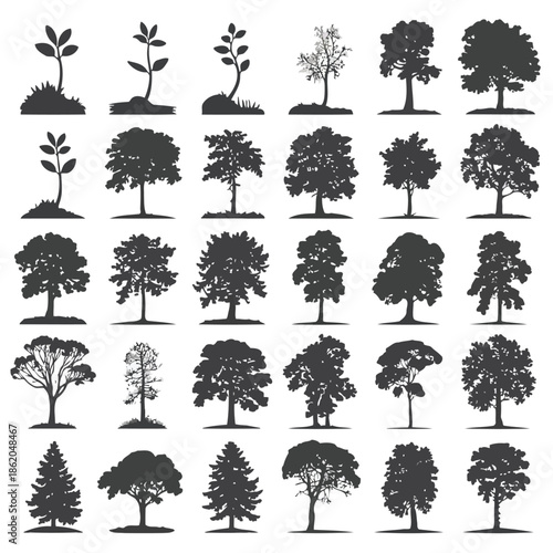 Collection of tree silhouettes on white background vector