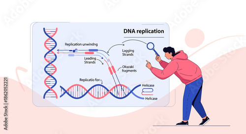 Person examining dna replication diagram with magnifying glass to visualize process