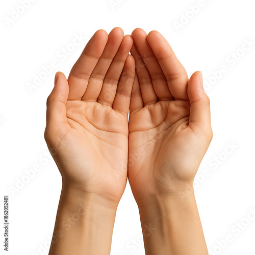 Wallpaper Mural Open Cupped Hands Gesture Isolated Torontodigital.ca