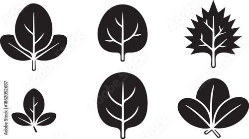 A diverse collection of stylized black and white leaf silhouettes representing various plant types