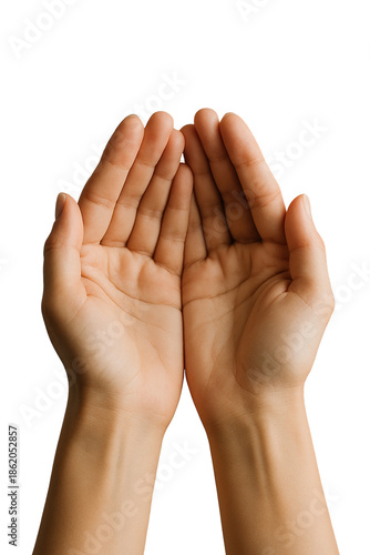 Wallpaper Mural Open Cupped Hands Gesture Isolated Torontodigital.ca