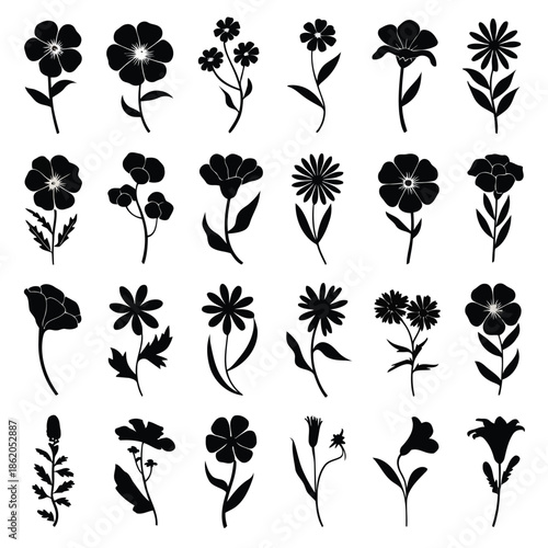 Black floral silhouettes on white background vector