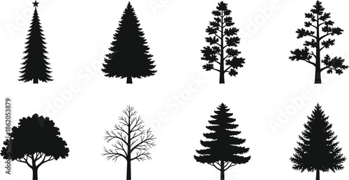 Seven black silhouettes of different trees and a decorated Christmas tree with a star on