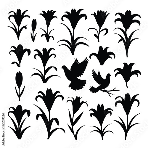 black silhouettes of various flowers and birds on a white background for design and decoration purposes easily