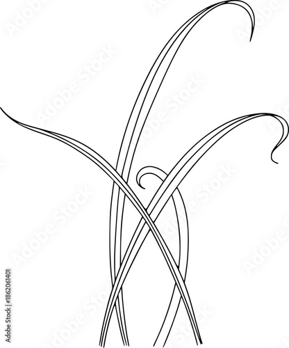 Simple black and white illustration of intertwined grass blades.