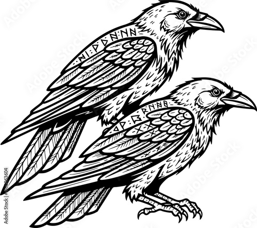 Norse Myth Odin's Ravens Line Art Vector
