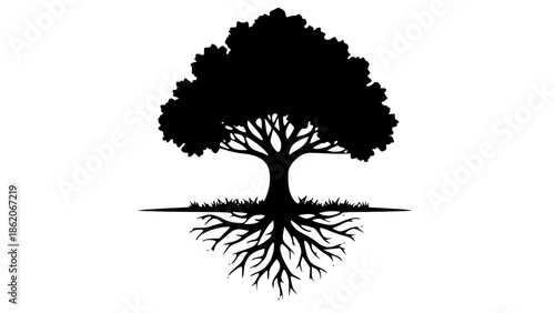 Strong tree silhouette with deep roots symbolizing growth and stability isolated on white background, Vector