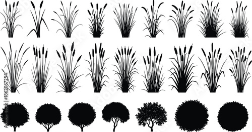 Black plant silhouette set with grasses reeds bushes trees, botanical nature collection, landscape design elements vector illustration pack isolated bundle