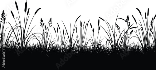 Black grass silhouette border with reeds plants, nature meadow background, botanical wild vegetation vector illustration design for landscape banner decor