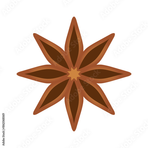 star anise vector illustration isolated on white background