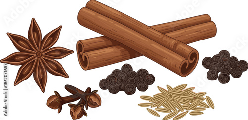 Vector, illustration, of, aromatic, spices, set, including, cinnamon, sticks, star, anise, cloves, black, peppercorns, and, cumin, seeds, for, cooking, design.