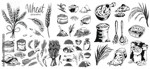 Rice set, bag, wooden bowl, spatula, spoon, handful of rice, wooden bowl. Grains in sack and scoop vector set