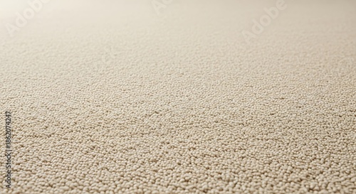 Beige Carpet Texture - A Soft and Neutral Background.