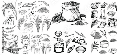 Rice set, bag, wooden bowl, spatula, spoon, handful of rice, wooden bowl. Grains in sack and scoop vector set