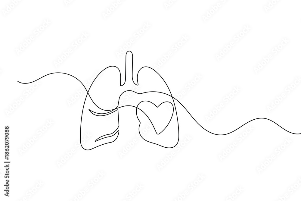 Obraz premium Continuous line drawing of human lungs in minimalist style isolated on white background