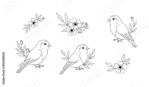 Minimal watercolor lovebirds and floral vector set with soft romantic style