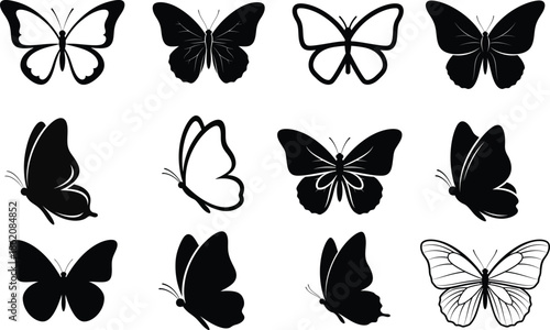 A colorful vector illustration showing a set of butterfly silhouettes with elegant wings inspired by nature and suitable for art design patterns tattoos and decoration