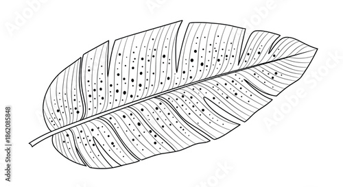 Detailed large tropical leaf drawing featuring an intricate vein pattern and various sized black dots across its surface.