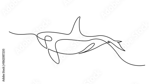 Animated self drawing of continuous line draw whale killer in water. Orca in swimming pool. Wild whale killer fish swimming in sea life. Full length one line animation. 4k video