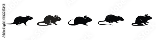 Rat and Mouse Icon Vector Set in Black and Outline Style – Rodent Silhouette Illustration for Pest Control, Logo, UI, App and Web Design