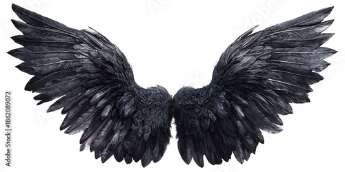 Black feather wings on transparent background