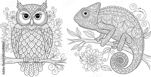 Intricate black and white line art vector illustration featuring highly detailed owl and chameleon with floral patterns for adult coloring book pages.