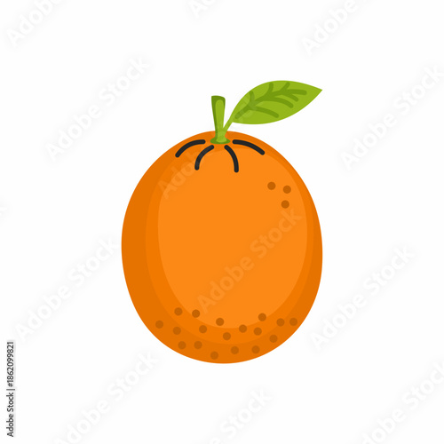 orange in cartoon style on white background. Fruit illustration.