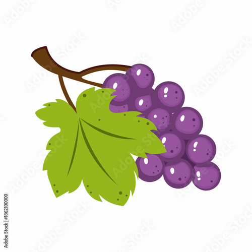 Bright purple grapes in cartoon style on white background. Fruit illustration.