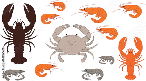 Vector illustration set of various seafood featuring brown and orange lobsters a light grey crab and several orange and grey shrimp.