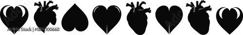 Collection of Heart Shapes and Anatomical Hearts Silhouettes