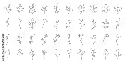 Collection of minimalist floral and leaf doodles, hand-drawn botanical sketches of twigs and branches for delicate branding and organic designs