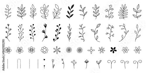 Set of hand-drawn floral elements and decorative dividers, black line drawings of flowers and leaves for border designs and invitations