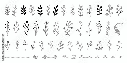 Extensive collection of botanical doodles and leaf branch illustrations, hand-drawn garden elements and vine dividers for natural design projects