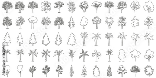 Grid Collection of Diverse Tree Sketches and Palm Tree Outlines for Landscape Architecture